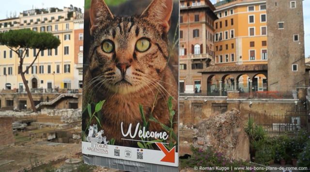 Sanctuaire des Chats Torre Argentina Rome