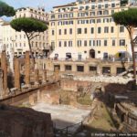 Sanctuaire des Chats Torre Argentina Rome (5)