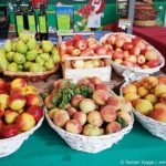 Rome Marché Farmers Market Via Passino Garbatella (2)