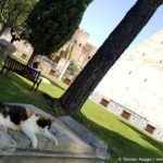 Cimetière protestant non-catholique de Rome (3)