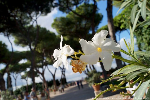 Jardin des Orangers Rome Giardino degli Aranci