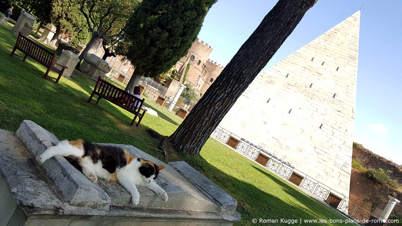 chats de la pyramide de Rome et du cimetière protestant